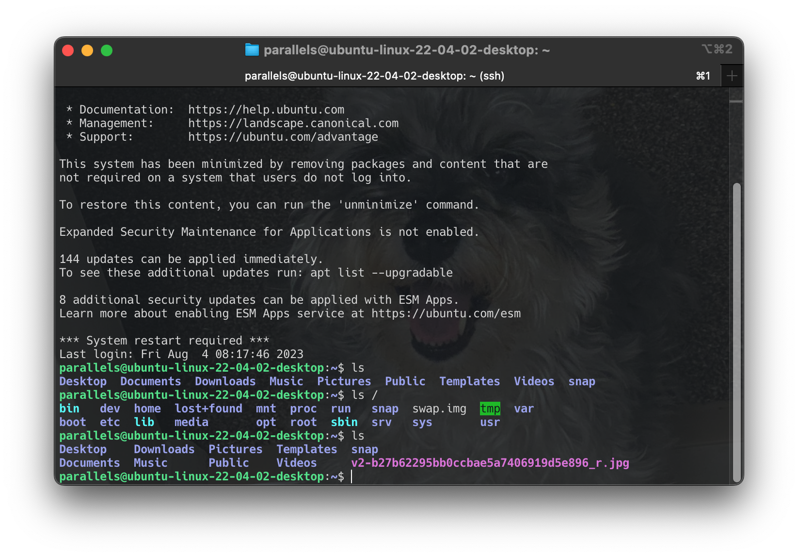 Screenshot 2024-06-16 at 13.19.08