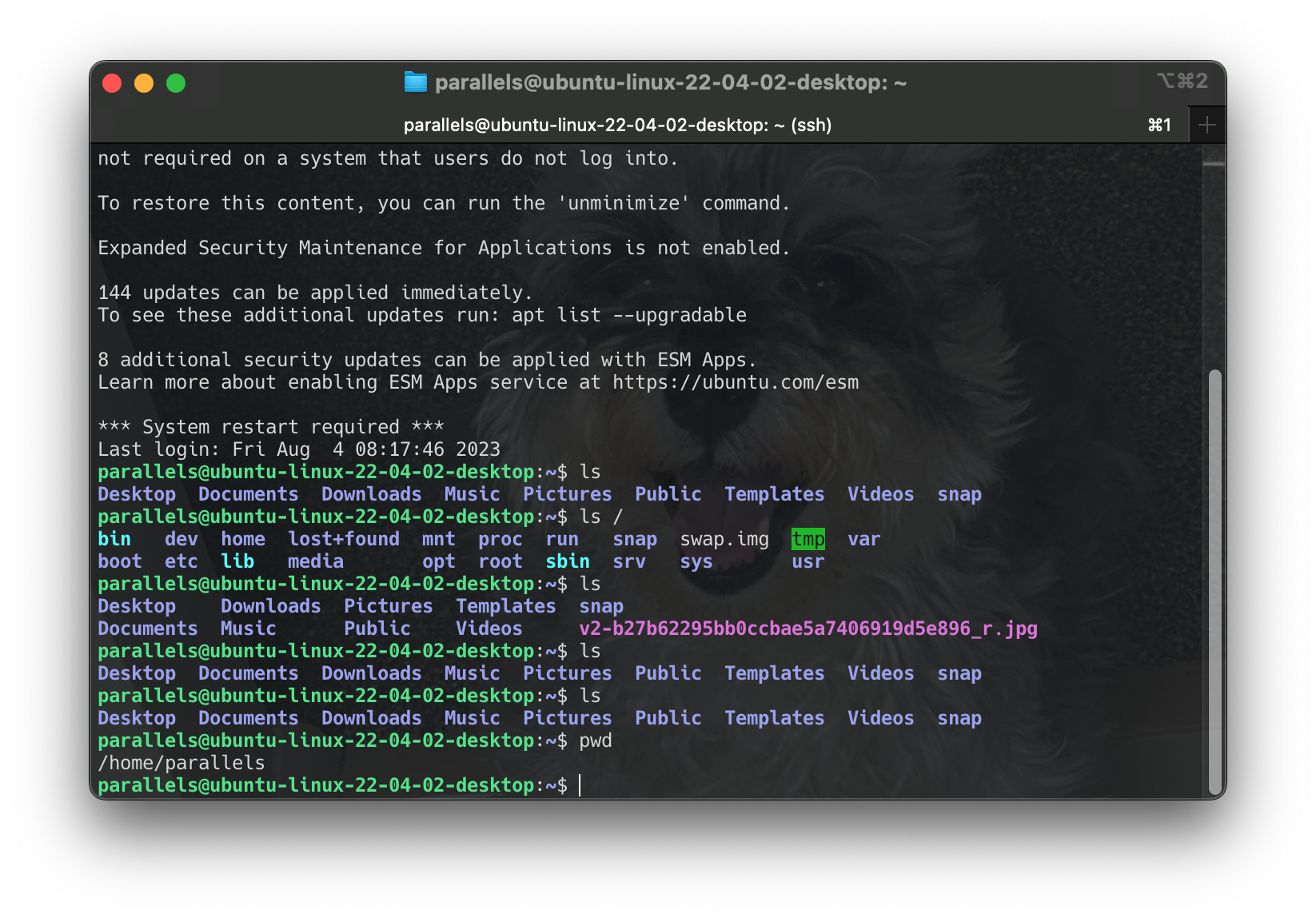 Screenshot 2024-06-16 at 13.35.45
