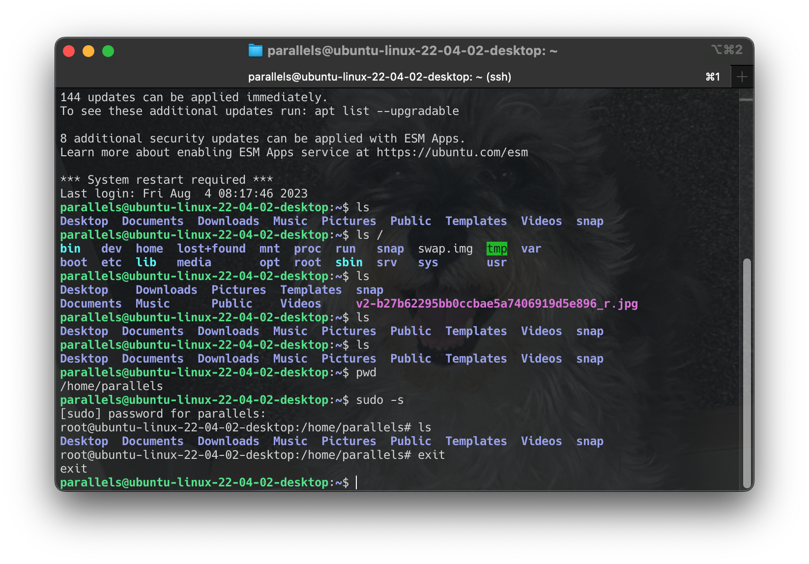 Screenshot 2024-06-16 at 13.44.03