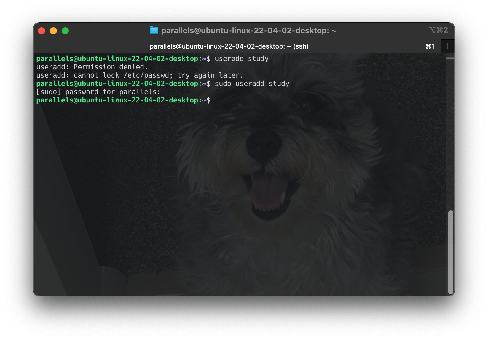Screenshot 2024-06-16 at 14.16.16
