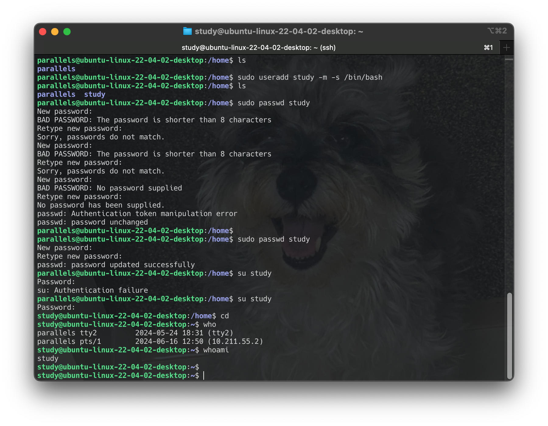 Screenshot 2024-06-16 at 14.33.41