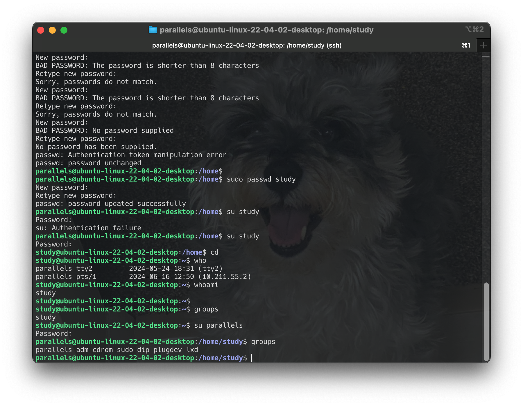 Screenshot 2024-06-16 at 14.34.28
