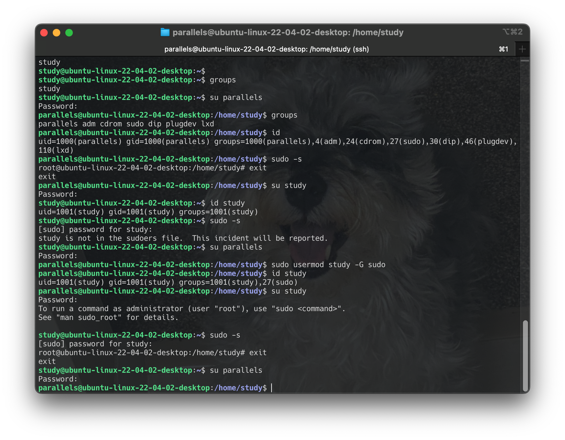 Screenshot 2024-06-16 at 14.37.51