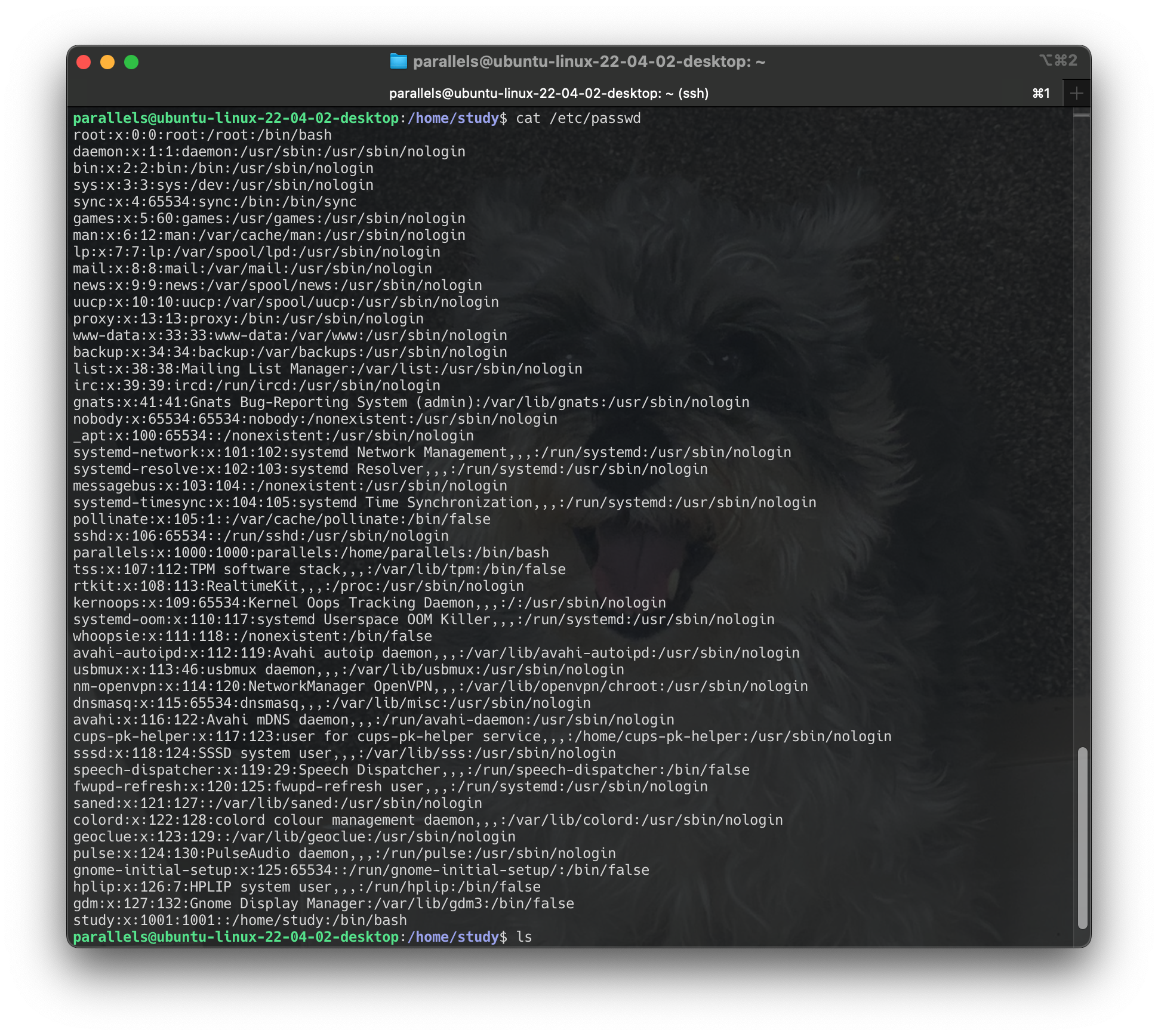 Screenshot 2024-06-16 at 14.38.42