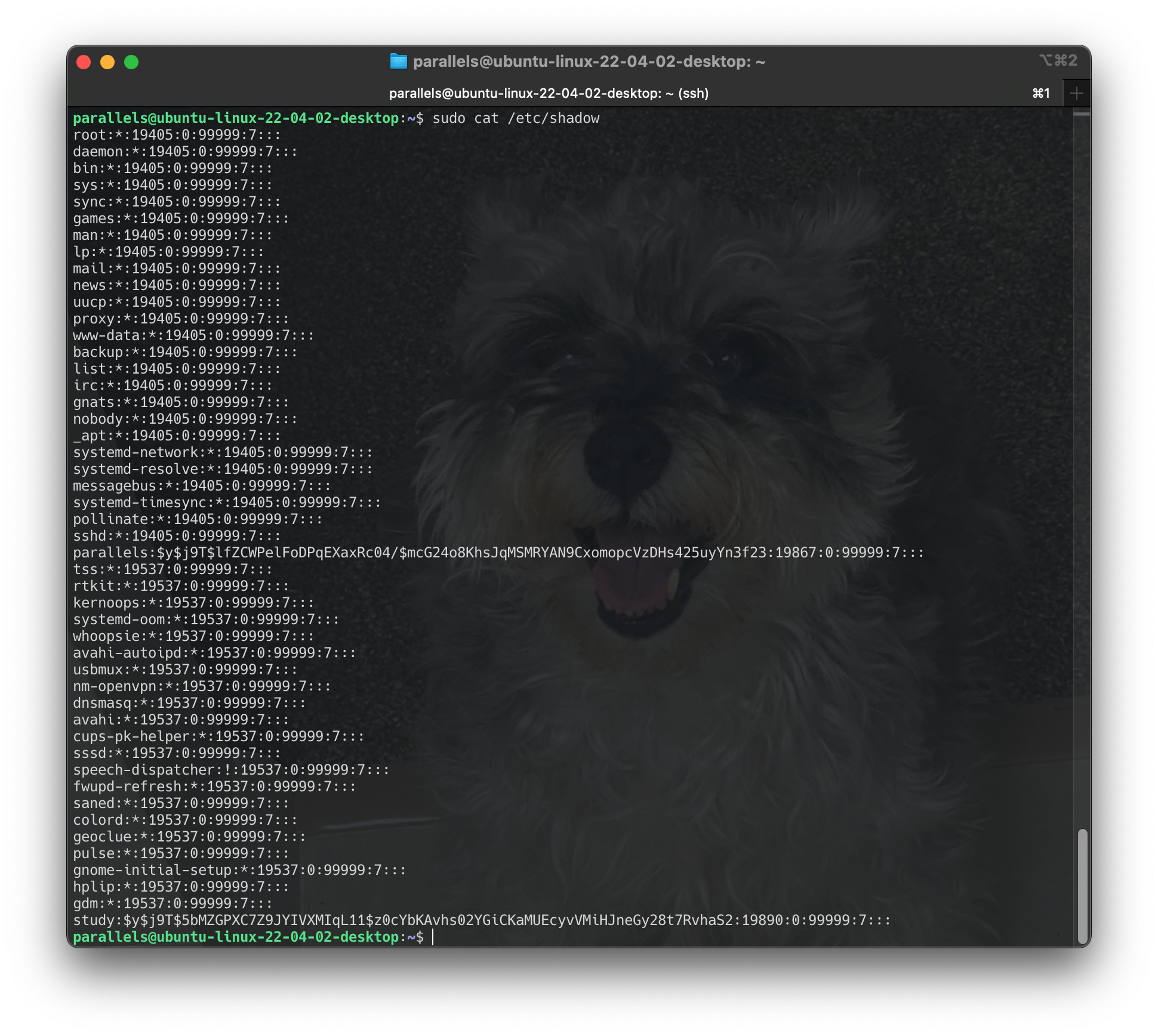 Screenshot 2024-06-16 at 15.19.01