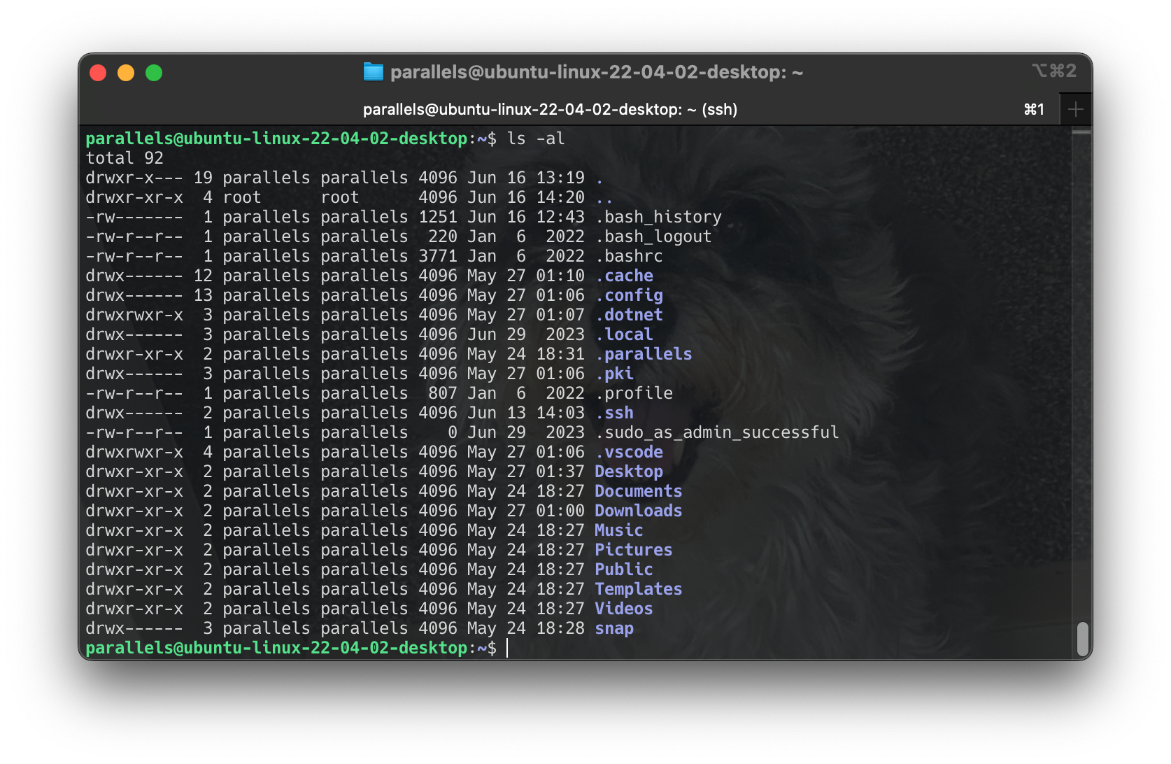 Screenshot 2024-06-16 at 15.22.15