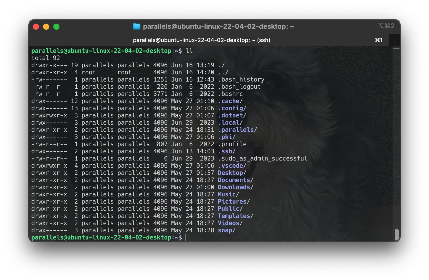 Screenshot 2024-06-16 at 15.23.23