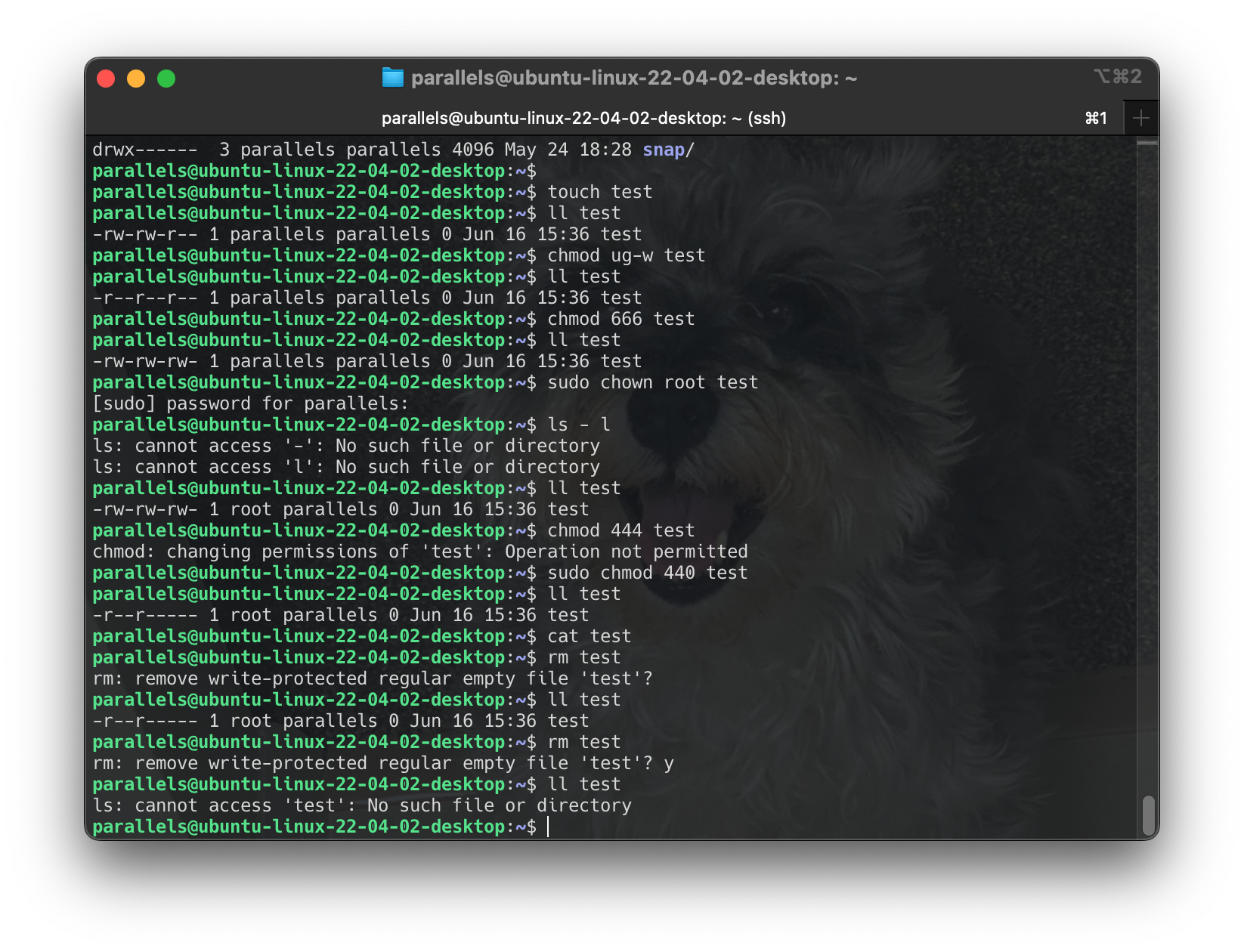 Screenshot 2024-06-16 at 15.41.24
