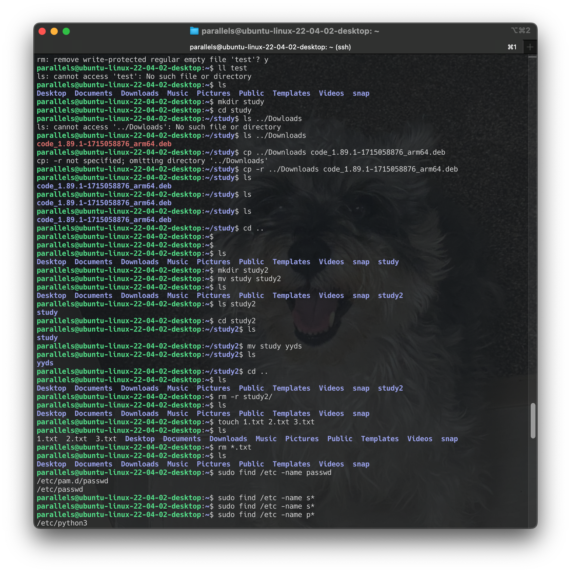 Screenshot 2024-06-16 at 15.48.53