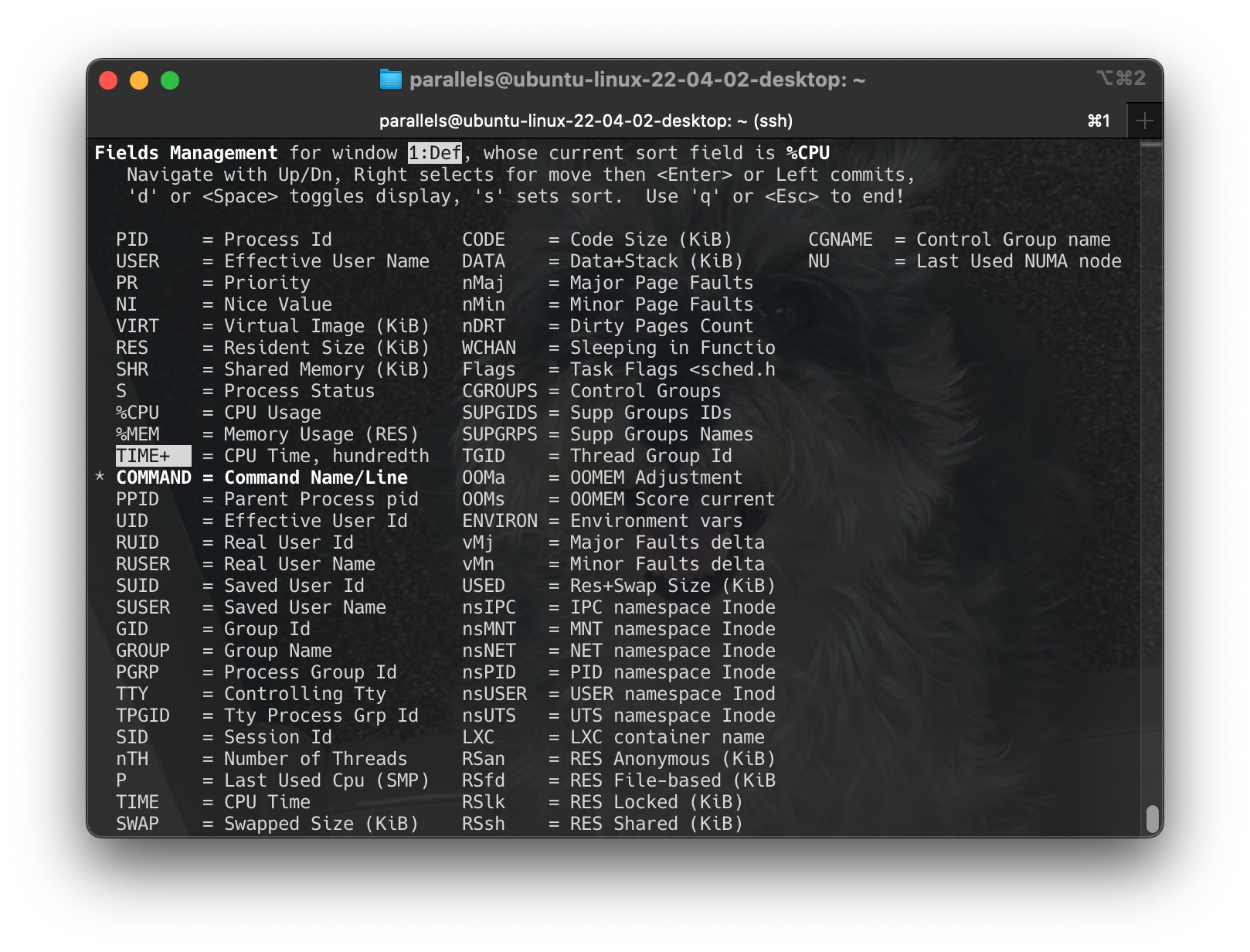 Screenshot 2024-06-16 at 15.53.15