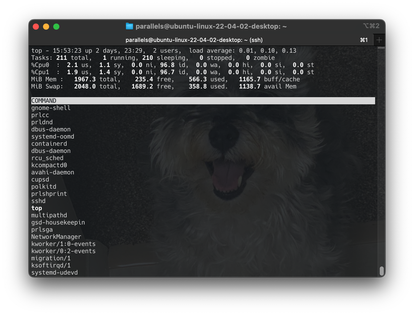 Screenshot 2024-06-16 at 15.53.25
