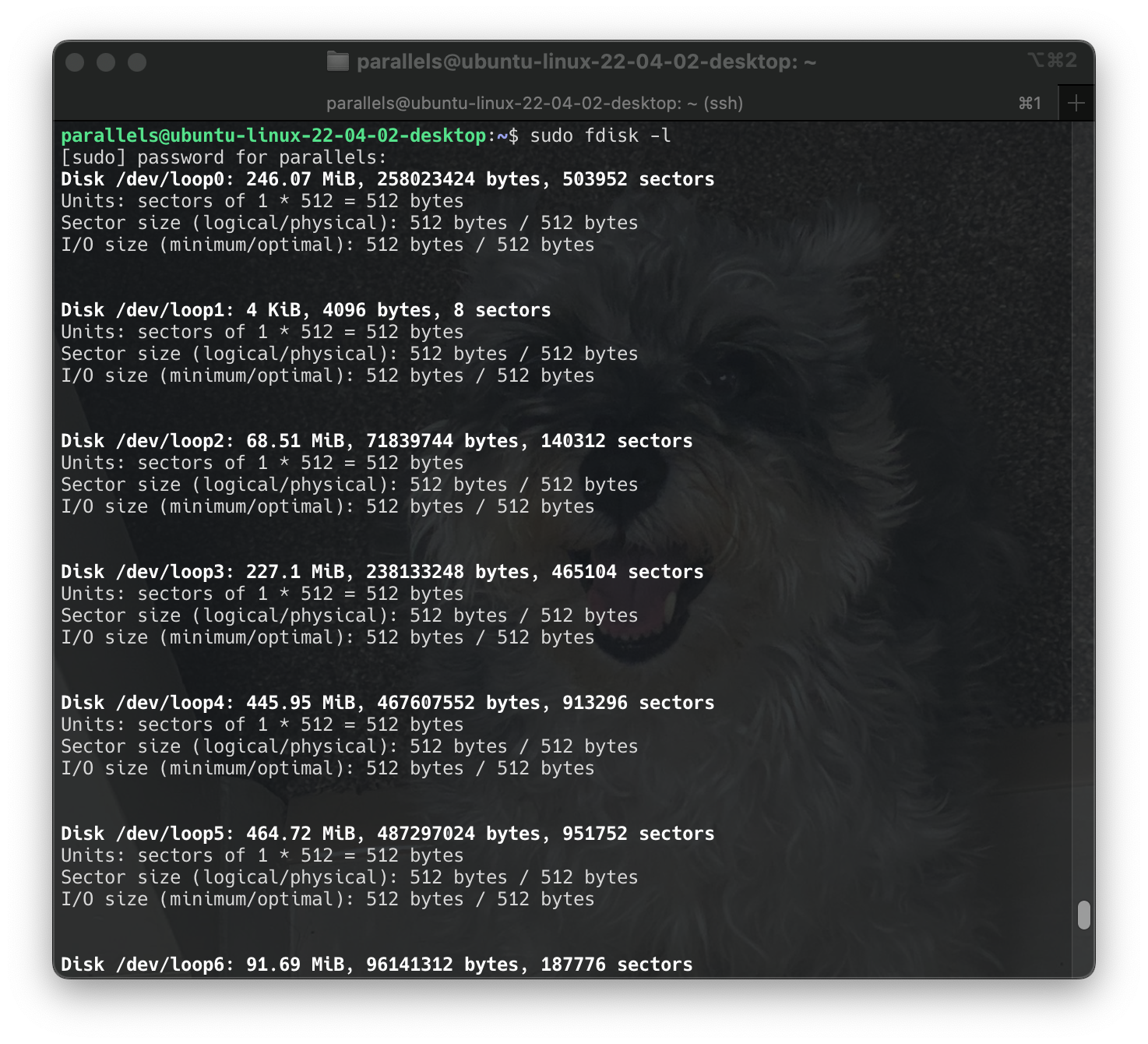 Screenshot 2024-06-16 at 16.49.26