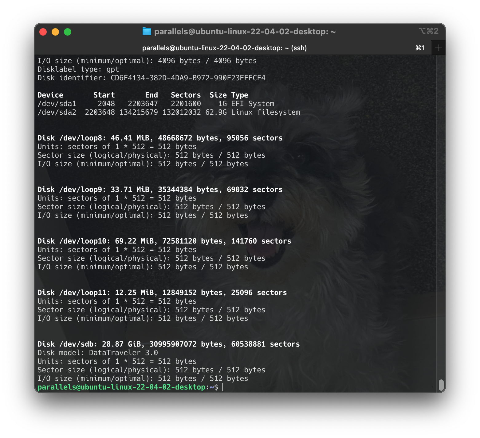 Screenshot 2024-06-16 at 16.50.18