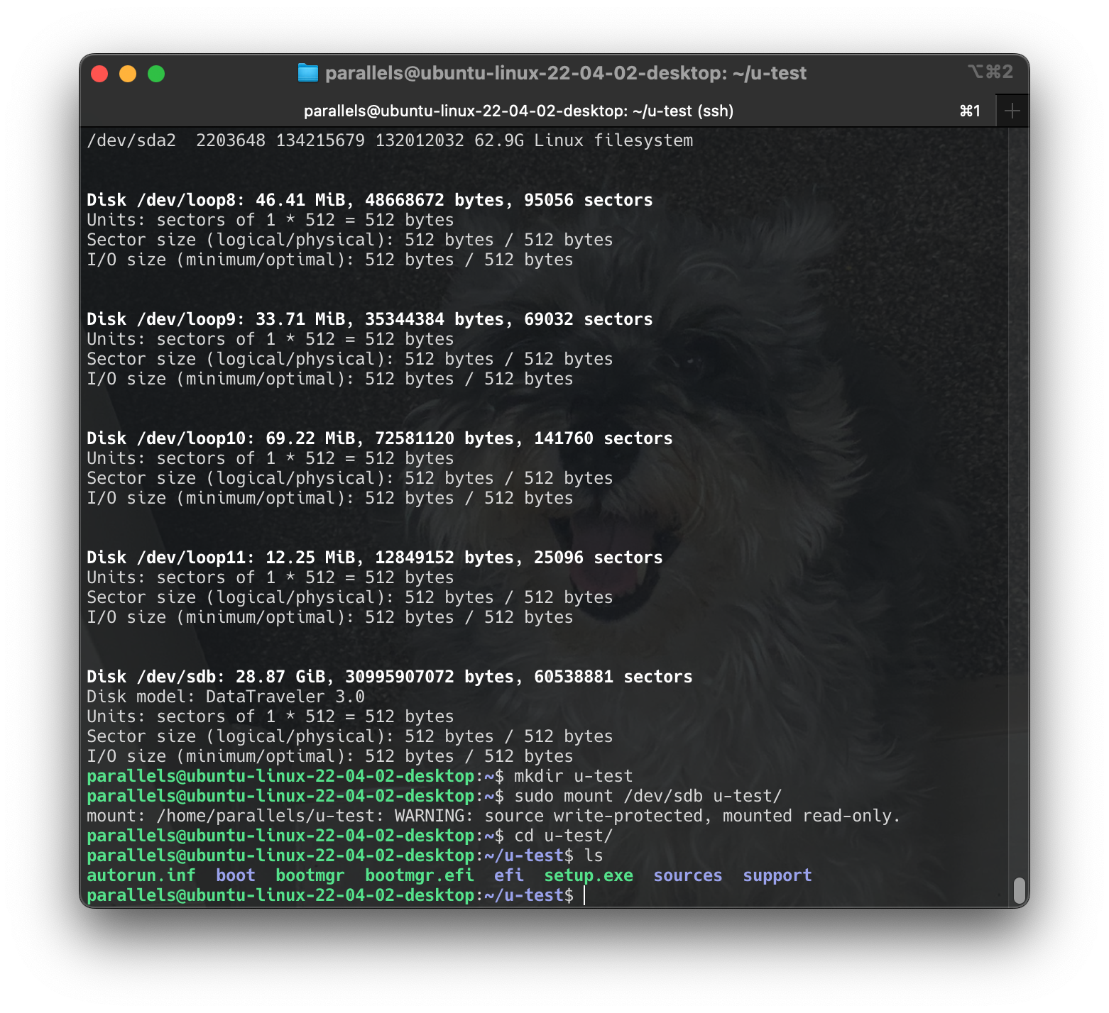 Screenshot 2024-06-16 at 16.51.29