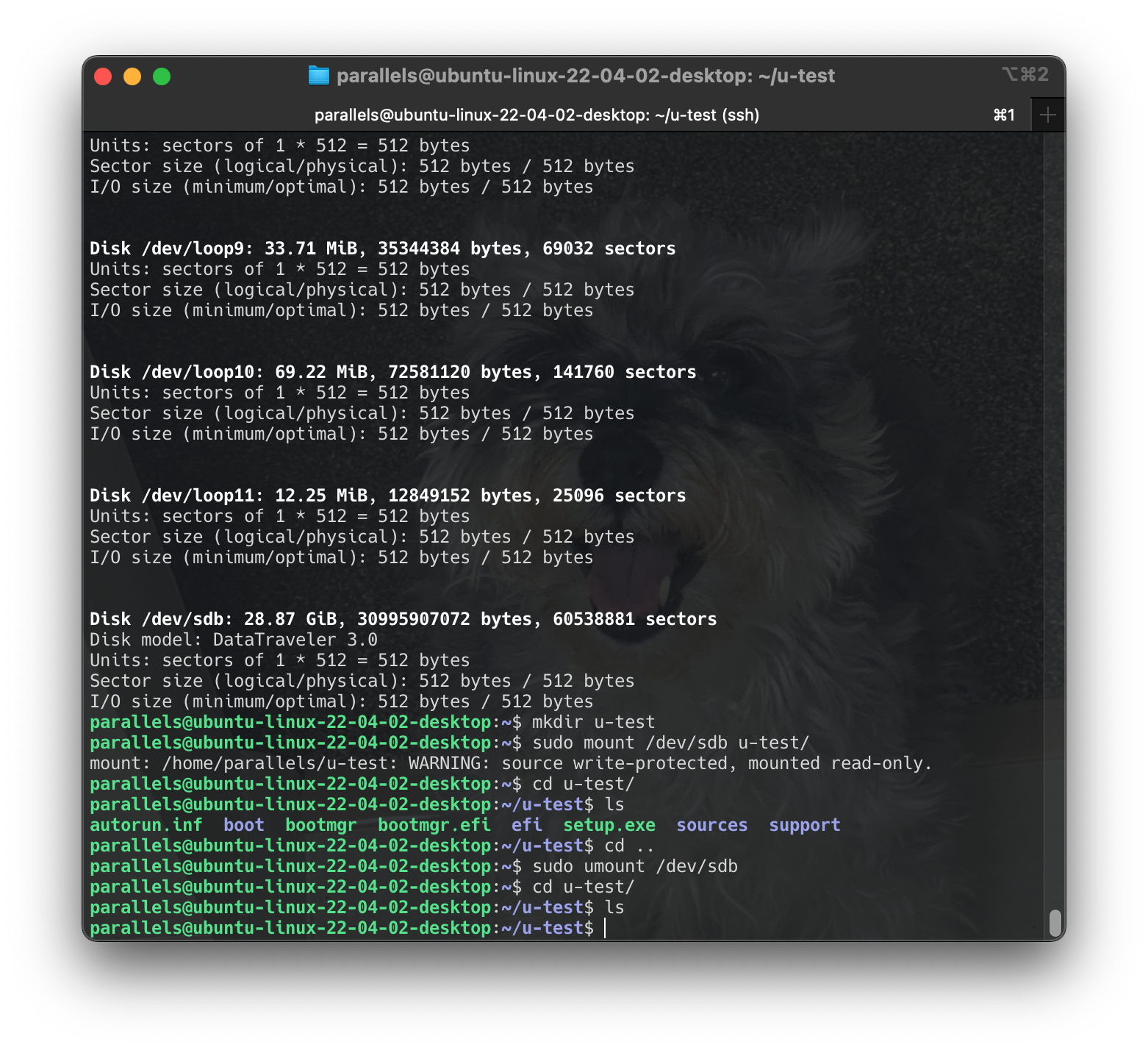 Screenshot 2024-06-16 at 16.52.08