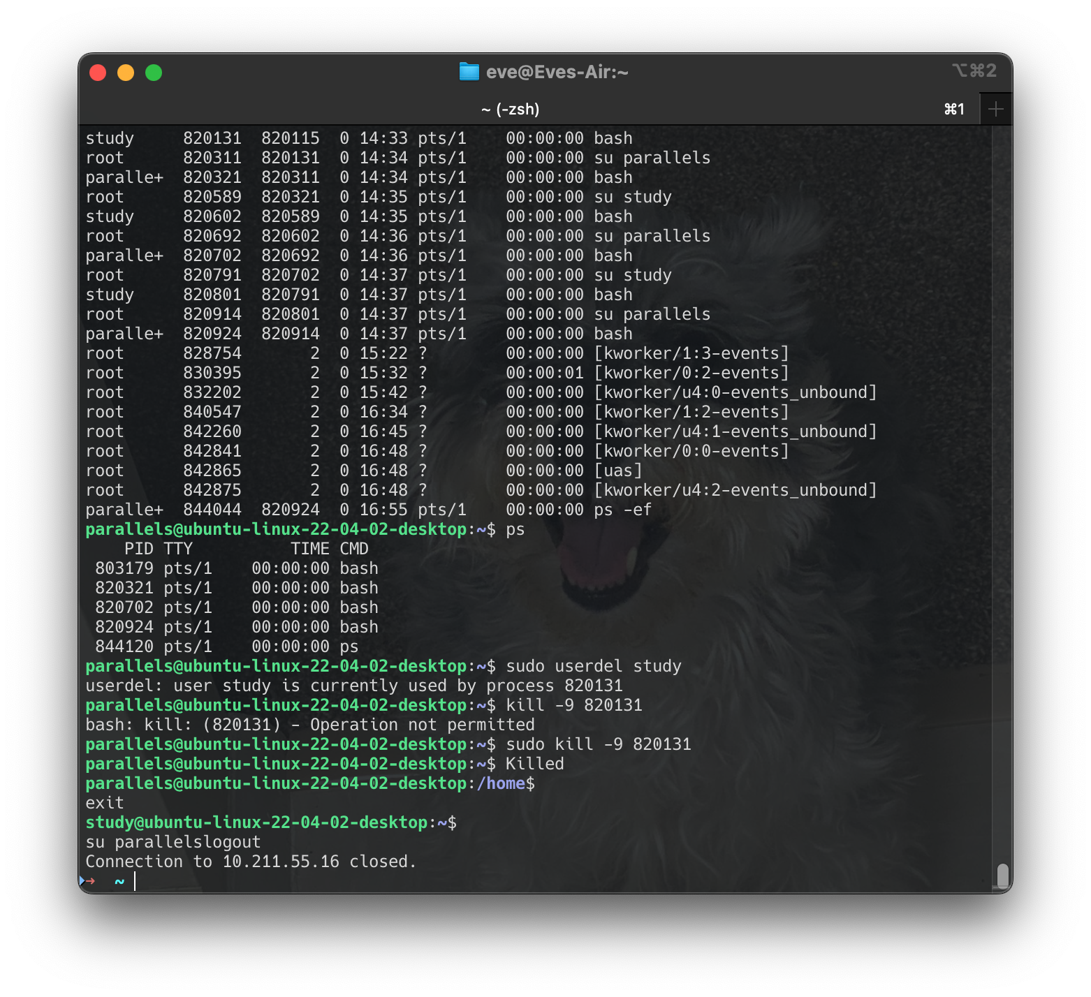 Screenshot 2024-06-16 at 16.57.29