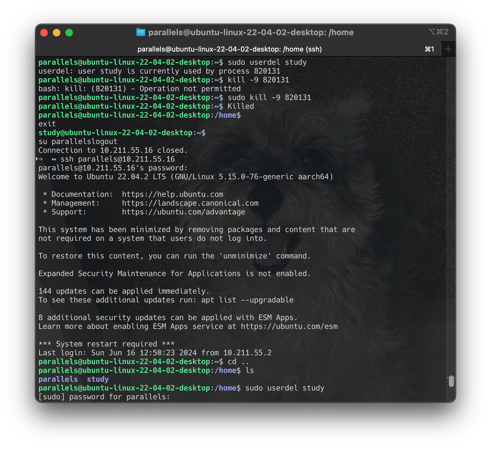 Screenshot 2024-06-16 at 17.03.40