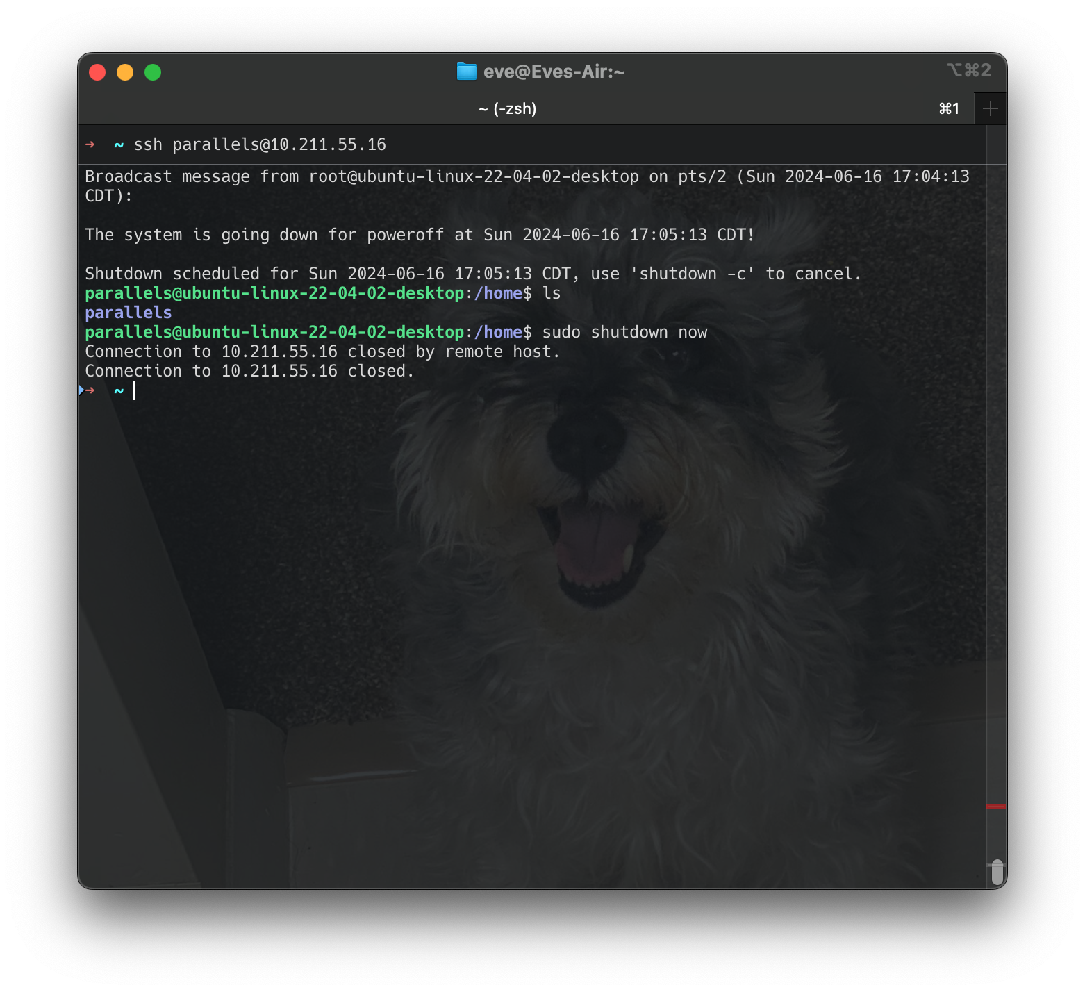 Screenshot 2024-06-16 at 17.04.57
