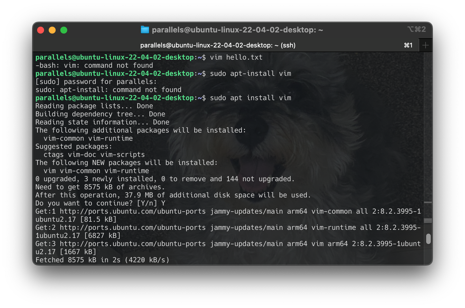 Screenshot 2024-06-16 at 17.11.18