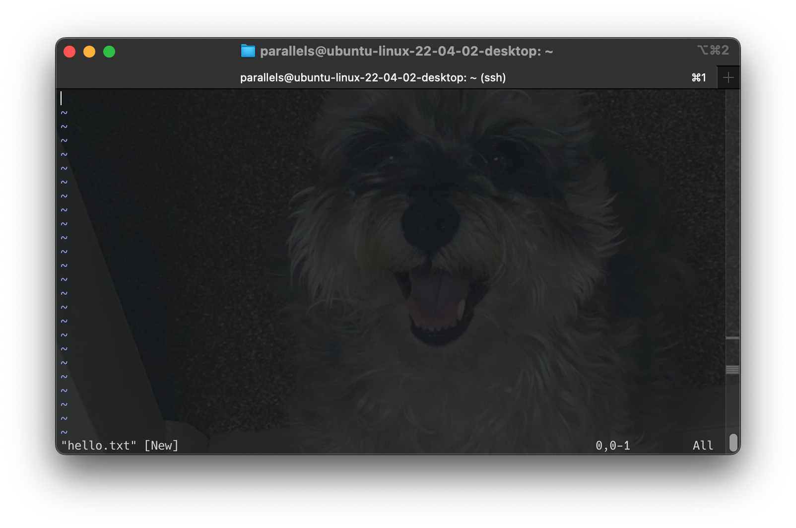 Screenshot 2024-06-16 at 17.11.44