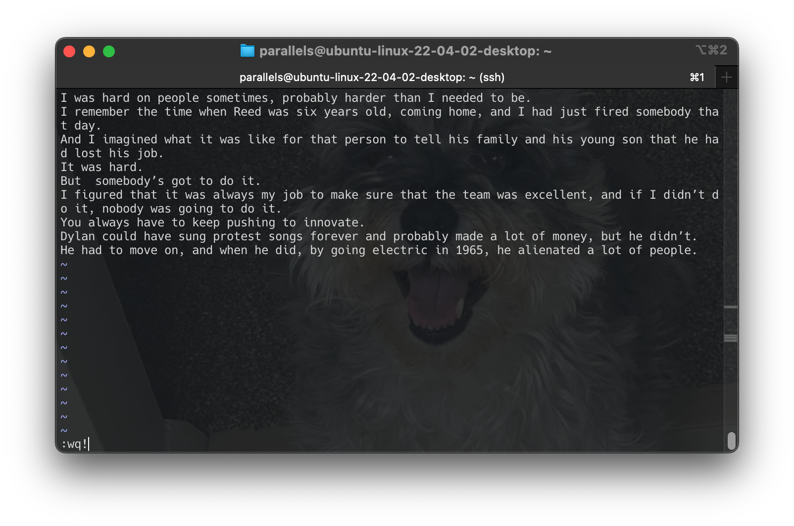 Screenshot 2024-06-16 at 17.12.58