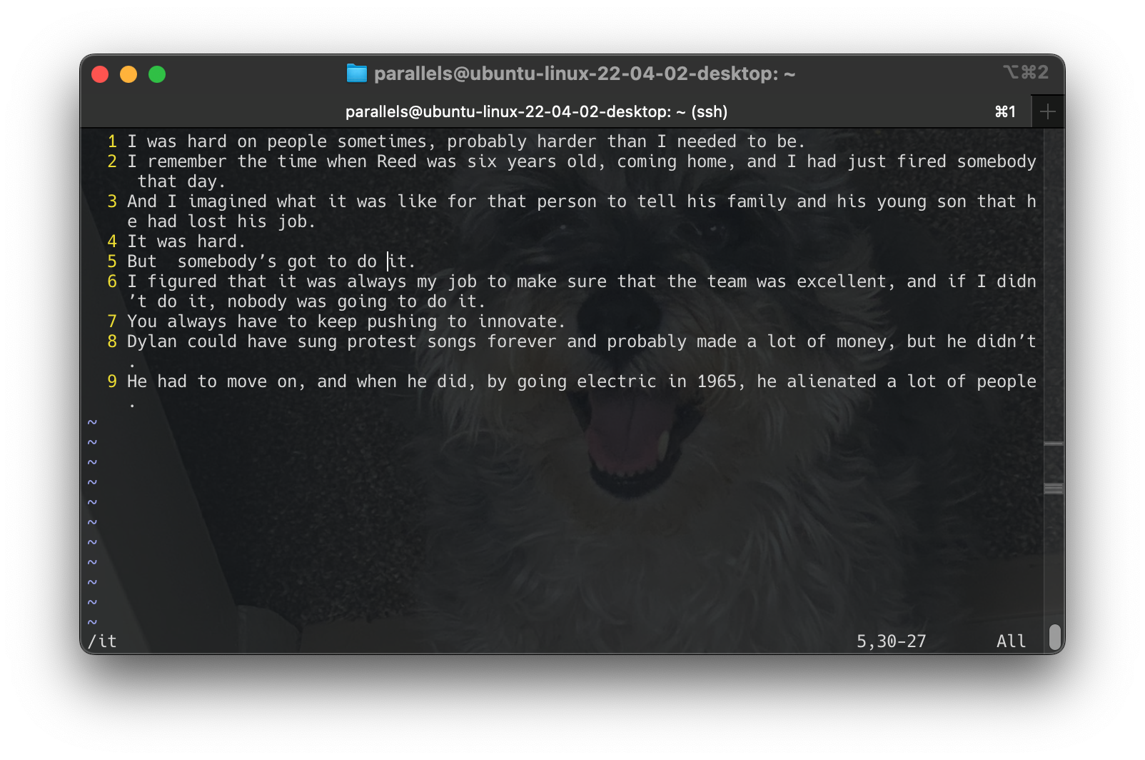 Screenshot 2024-06-16 at 17.14.17