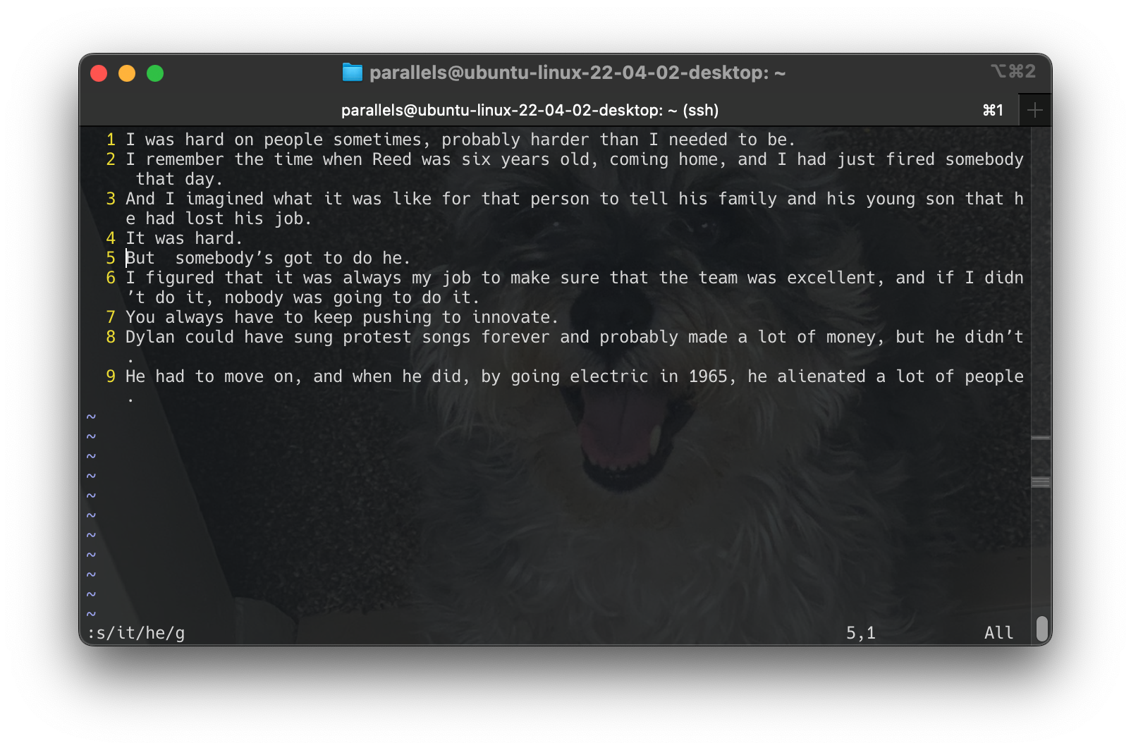 Screenshot 2024-06-16 at 17.15.29
