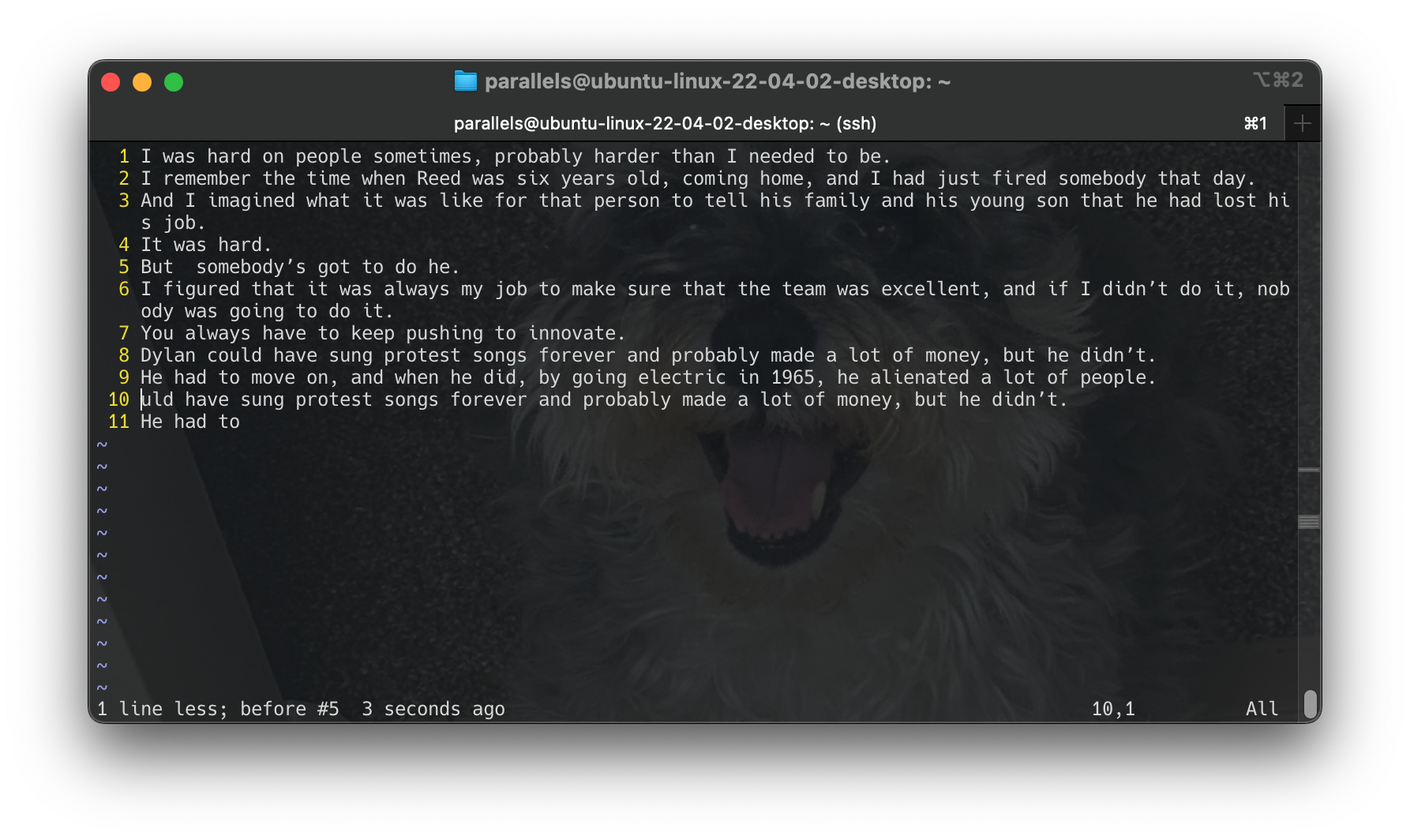 Screenshot 2024-06-16 at 17.16.44