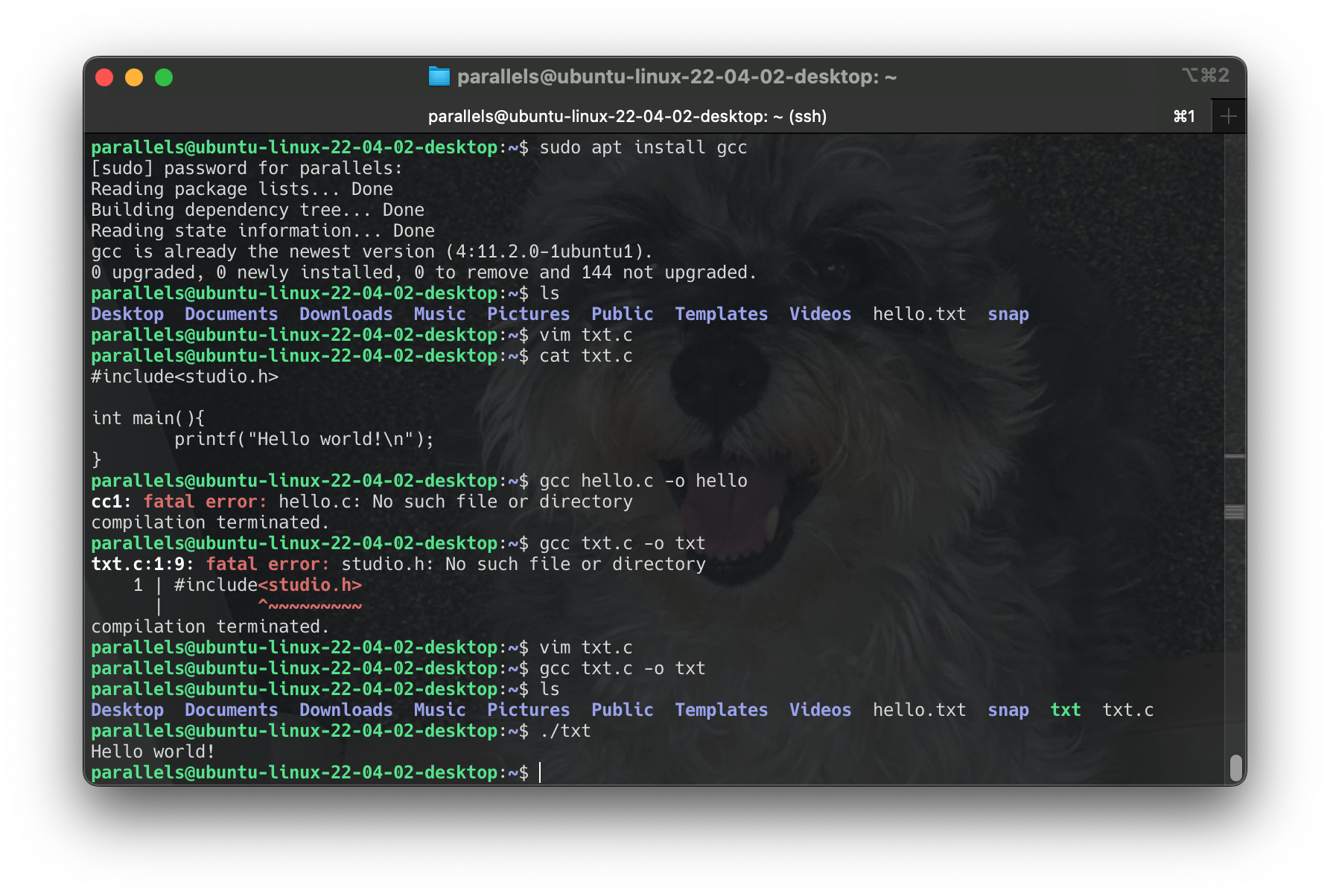 Screenshot 2024-06-16 at 17.38.33