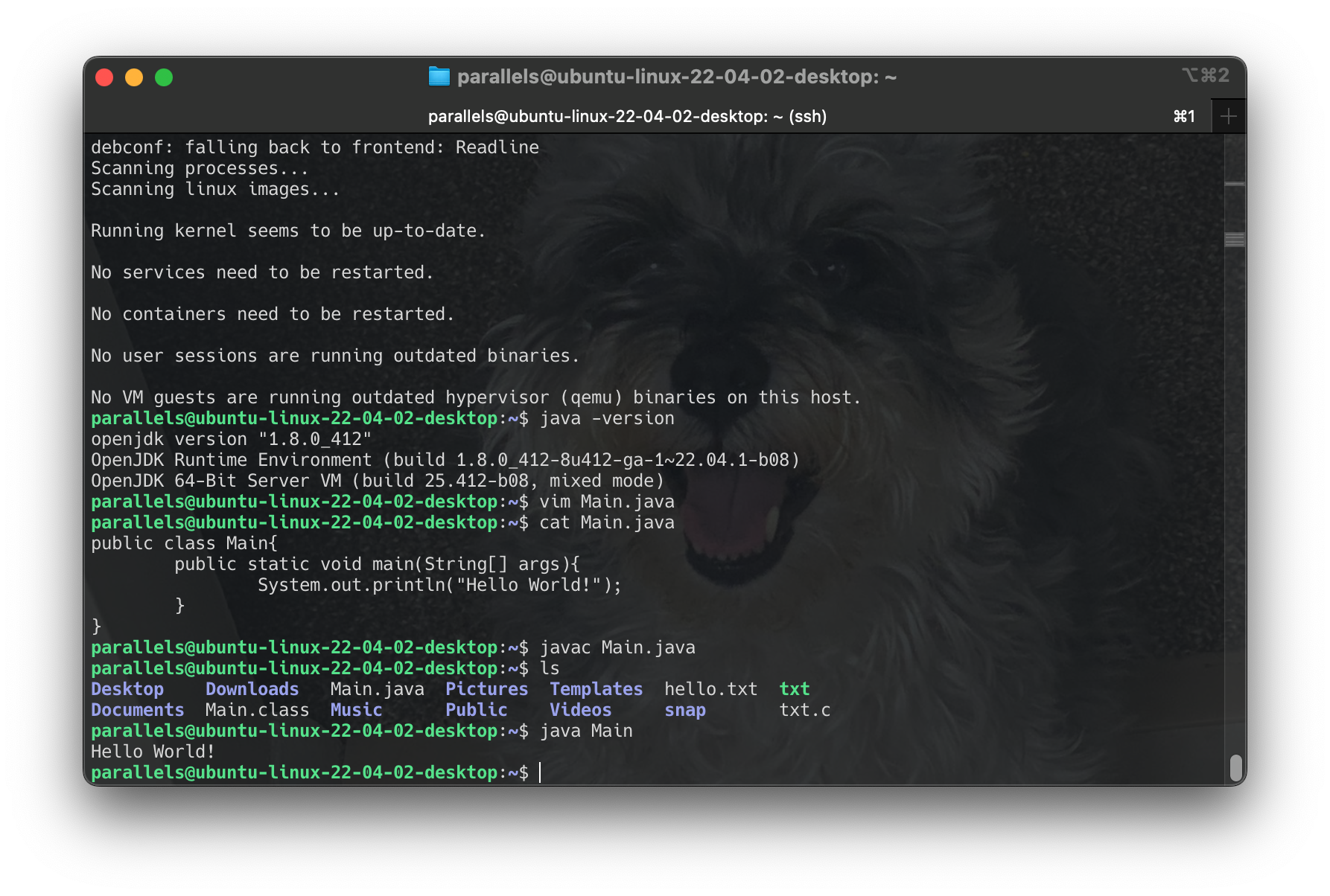 Screenshot 2024-06-16 at 17.41.07