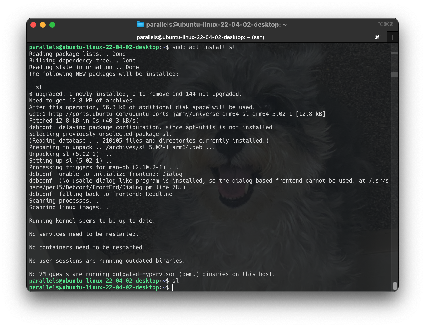 Screenshot 2024-06-16 at 17.42.05