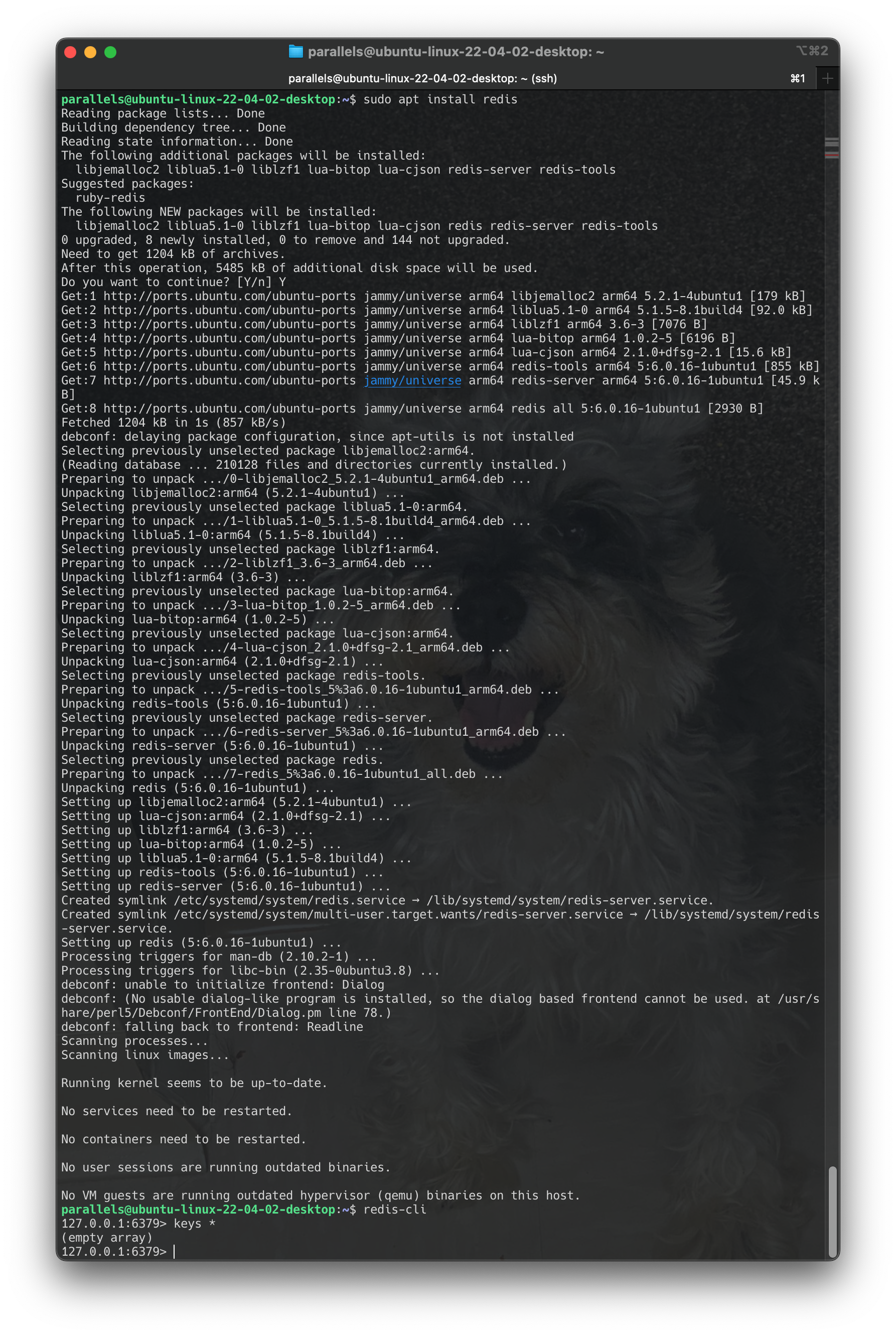 Screenshot 2024-06-16 at 17.43.14