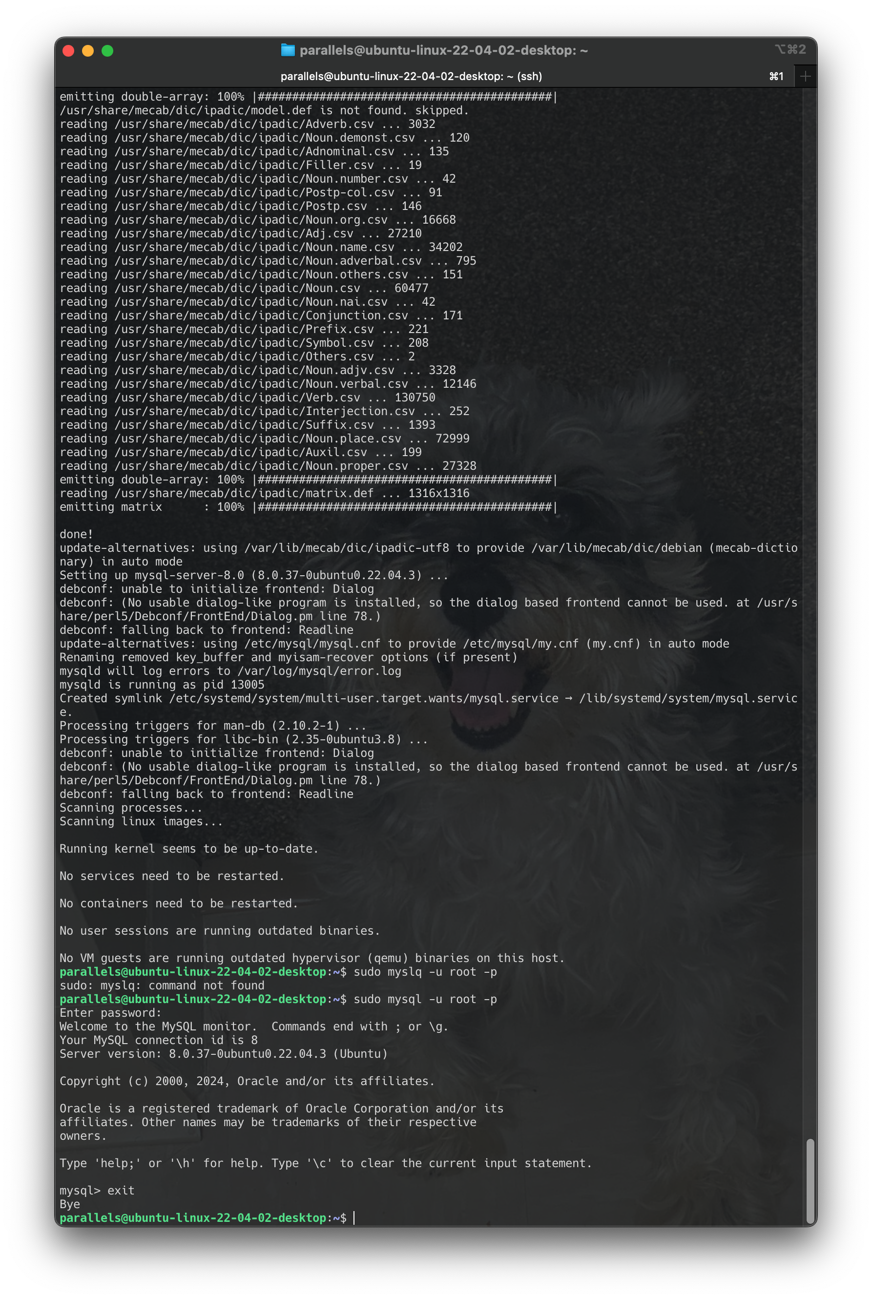 Screenshot 2024-06-16 at 17.45.01