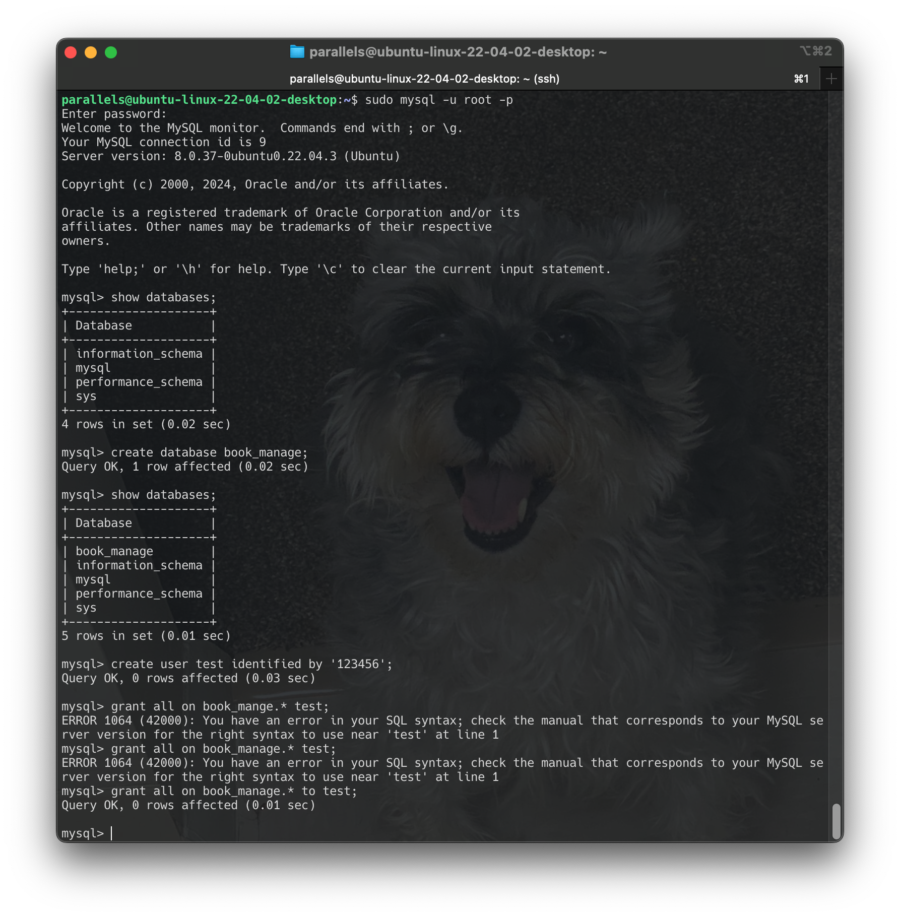 Screenshot 2024-06-16 at 18.05.58