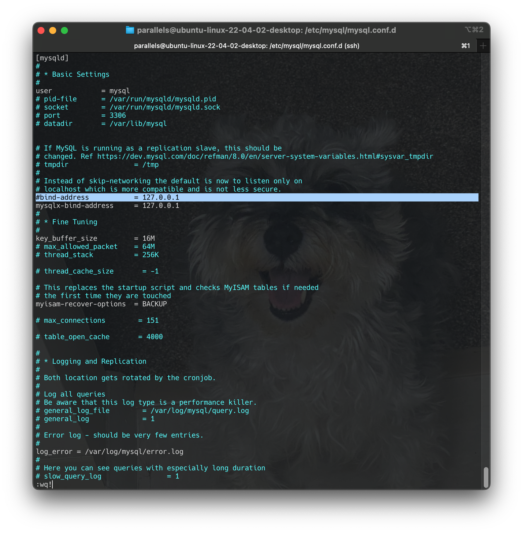 Screenshot 2024-06-16 at 18.20.32