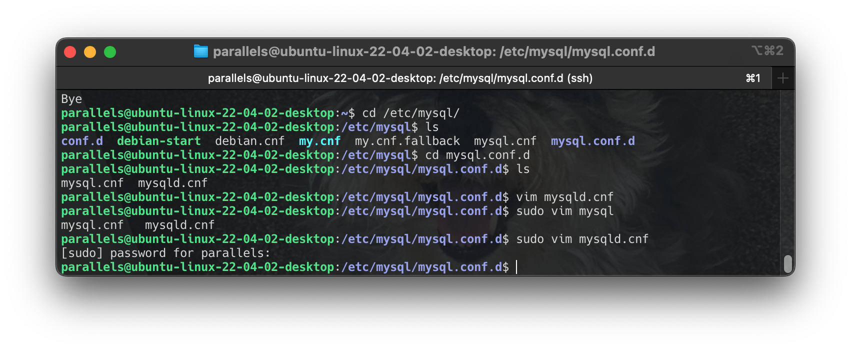 Screenshot 2024-06-16 at 18.20.46