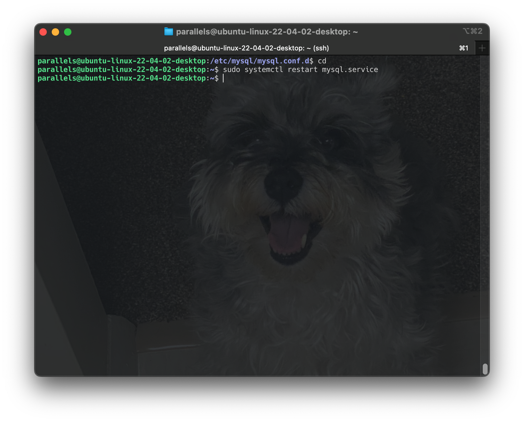 Screenshot 2024-06-16 at 18.21.52