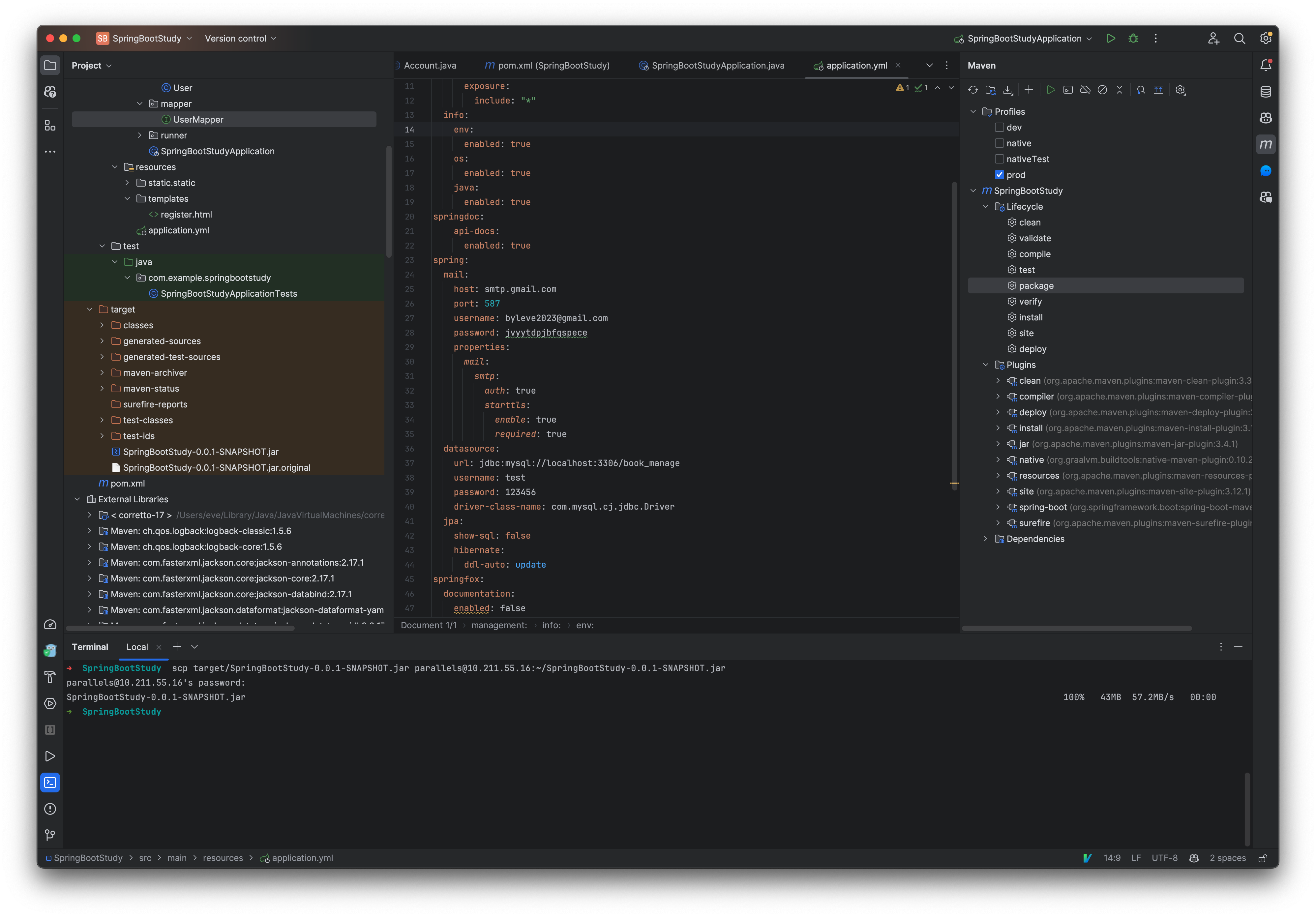 Screenshot 2024-06-17 at 13.02.31