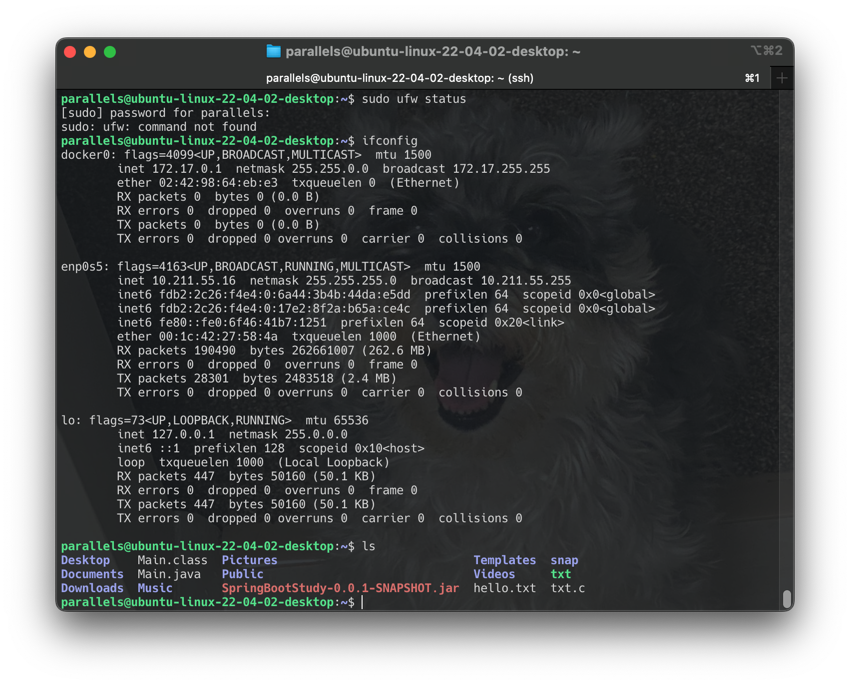 Screenshot 2024-06-17 at 13.08.58
