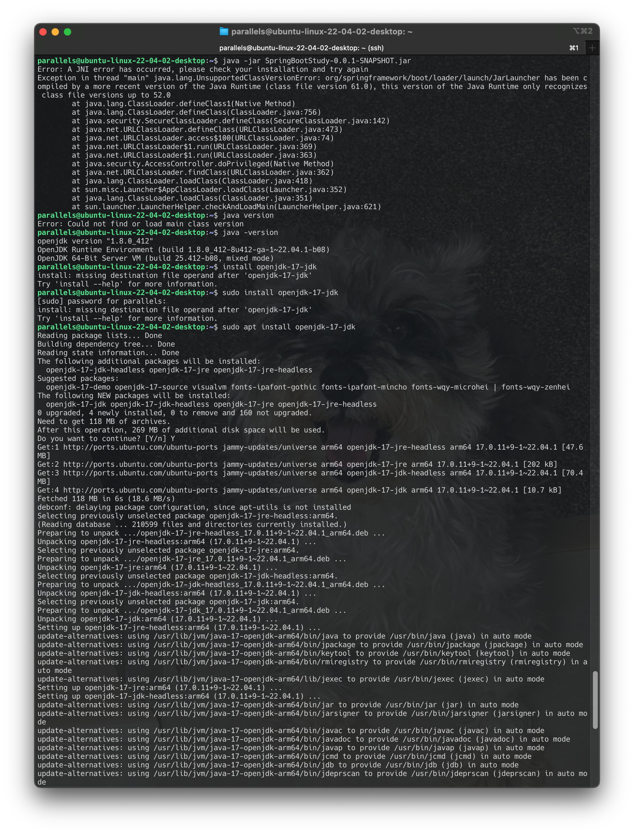 Screenshot 2024-06-17 at 13.42.33