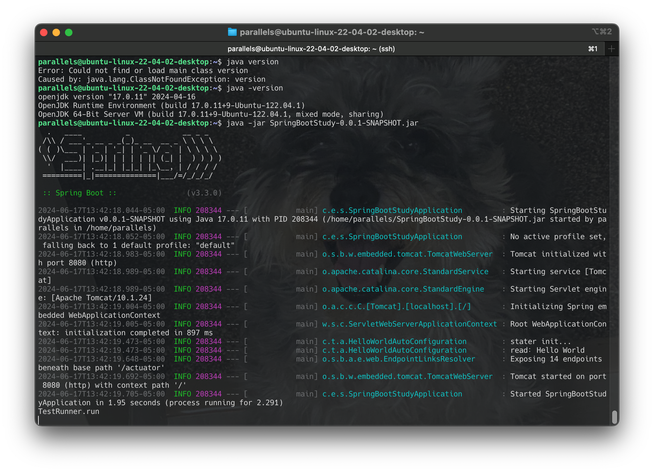 Screenshot 2024-06-17 at 13.42.47