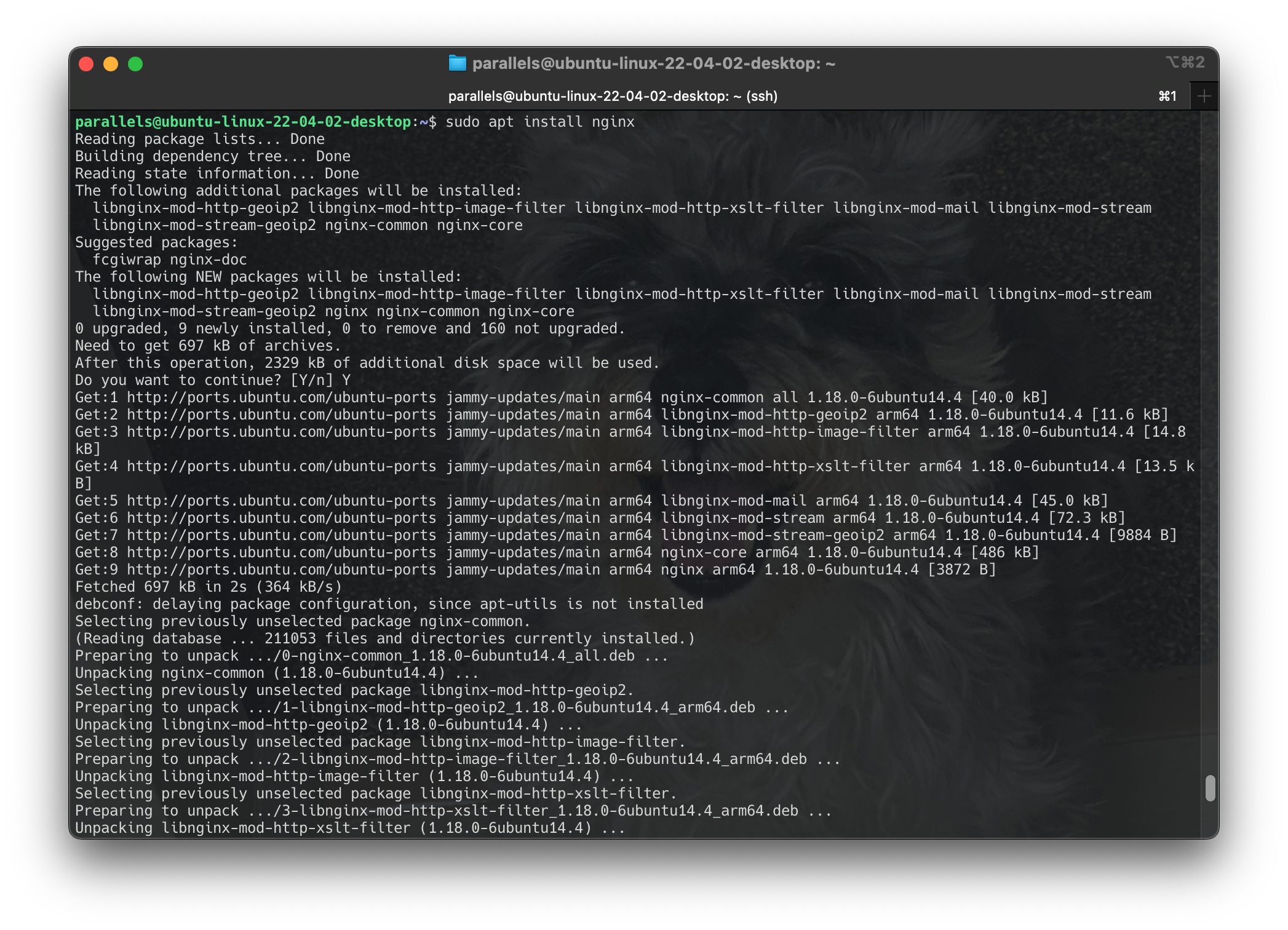 Screenshot 2024-06-17 at 13.49.41