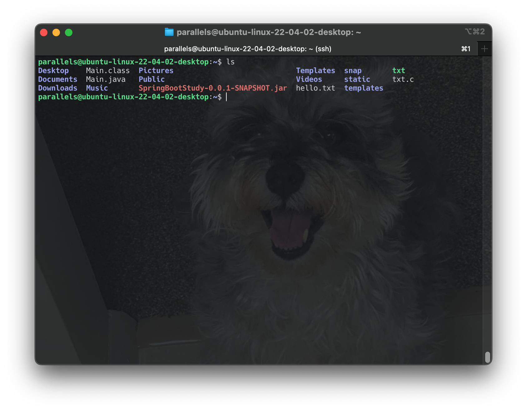 Screenshot 2024-06-17 at 13.56.44